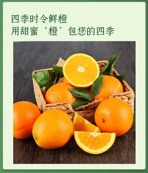 秭歸臍橙 當季新鮮味美，健康營養之選